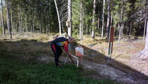 Ari juoksi mainion osuuden ja toi Kaihianojan ensimmäisenä vaihtoon. Eroa toisena vaihtaneeseen joukkueeseen oli noin kolme minuuttia. 